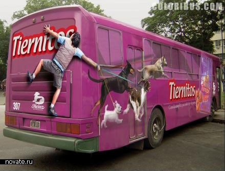 Реклама Tiernitos Dog Food на автобусе